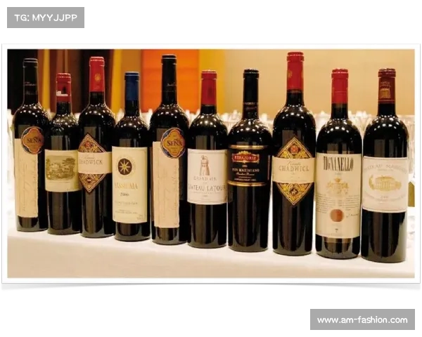 帕克如何引领法国篮球崛起并迈向国际辉煌的历史征程