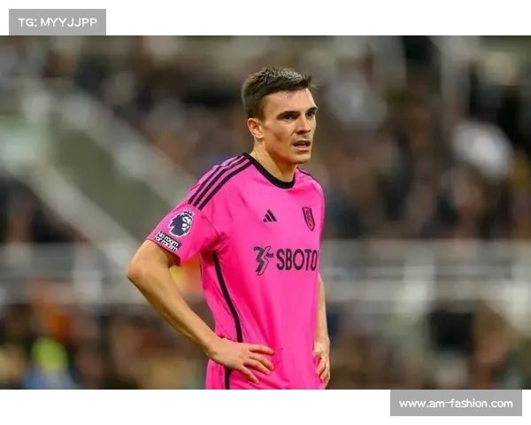 拜仁冬窗转会分析 帕利尼亚的双向奔赴与球队未来布局